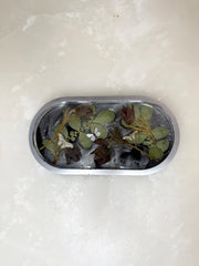 “Silver Mariposa” Pill Tray