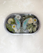 “Silver Butterfly" Scallop Tray