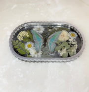 “Silver Butterfly" Scallop Tray