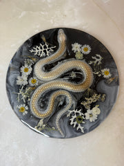 “White Nagini” Round Brie Board