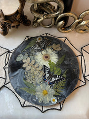 “Dark Butterfly” Round Brie Board