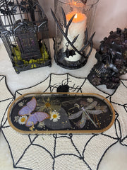 “Celestial Moth” Long Pill Tray