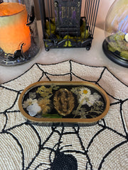 “Faerie Cameo” Pill Tray