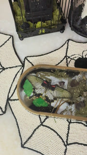 “Dark Mariposa” Long Pill Tray