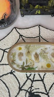 “White Cameo” Pill Tray