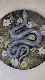 “Azul Nagini” Round Brie Board