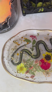 “Snake in the Garden” Artisan Long Tray