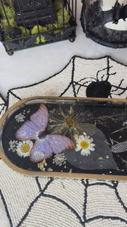 “Celestial Moth” Long Pill Tray