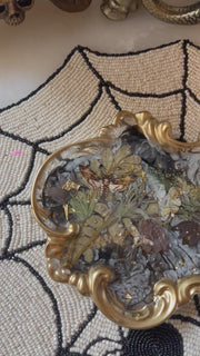 “Deadhead Moth" Baroque Tray