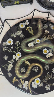 “Verde Nagini” Round Brie Board