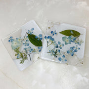 Hydrangea  Floral Square Coaster